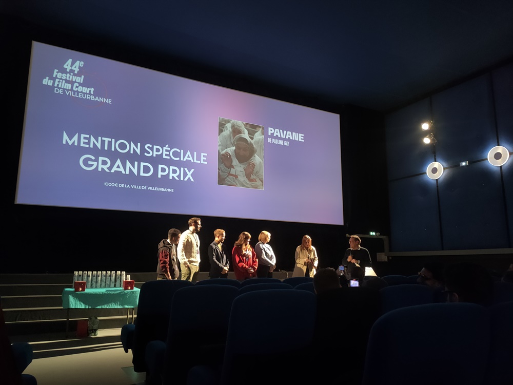 Festival du film court de Villeurbanne 2023 illustration interviews